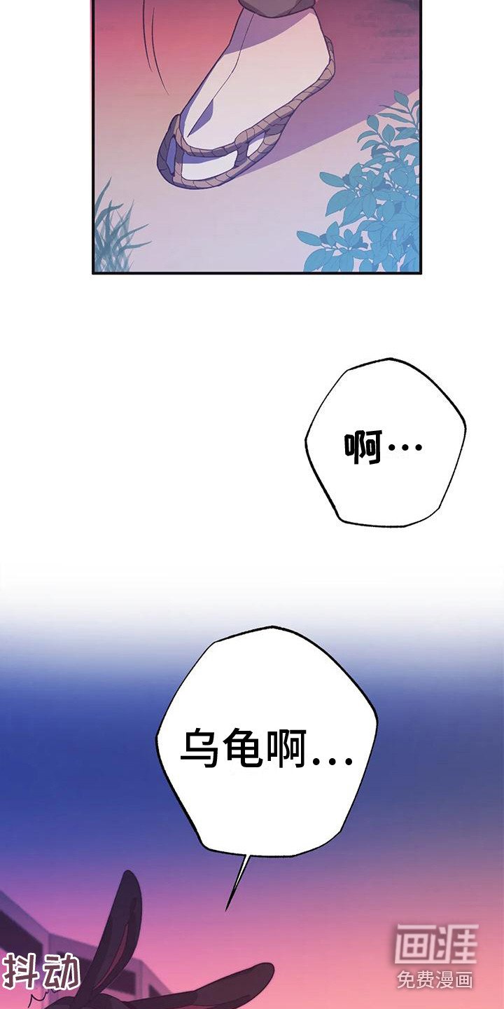 第12章：兔子的处境：等着瞧