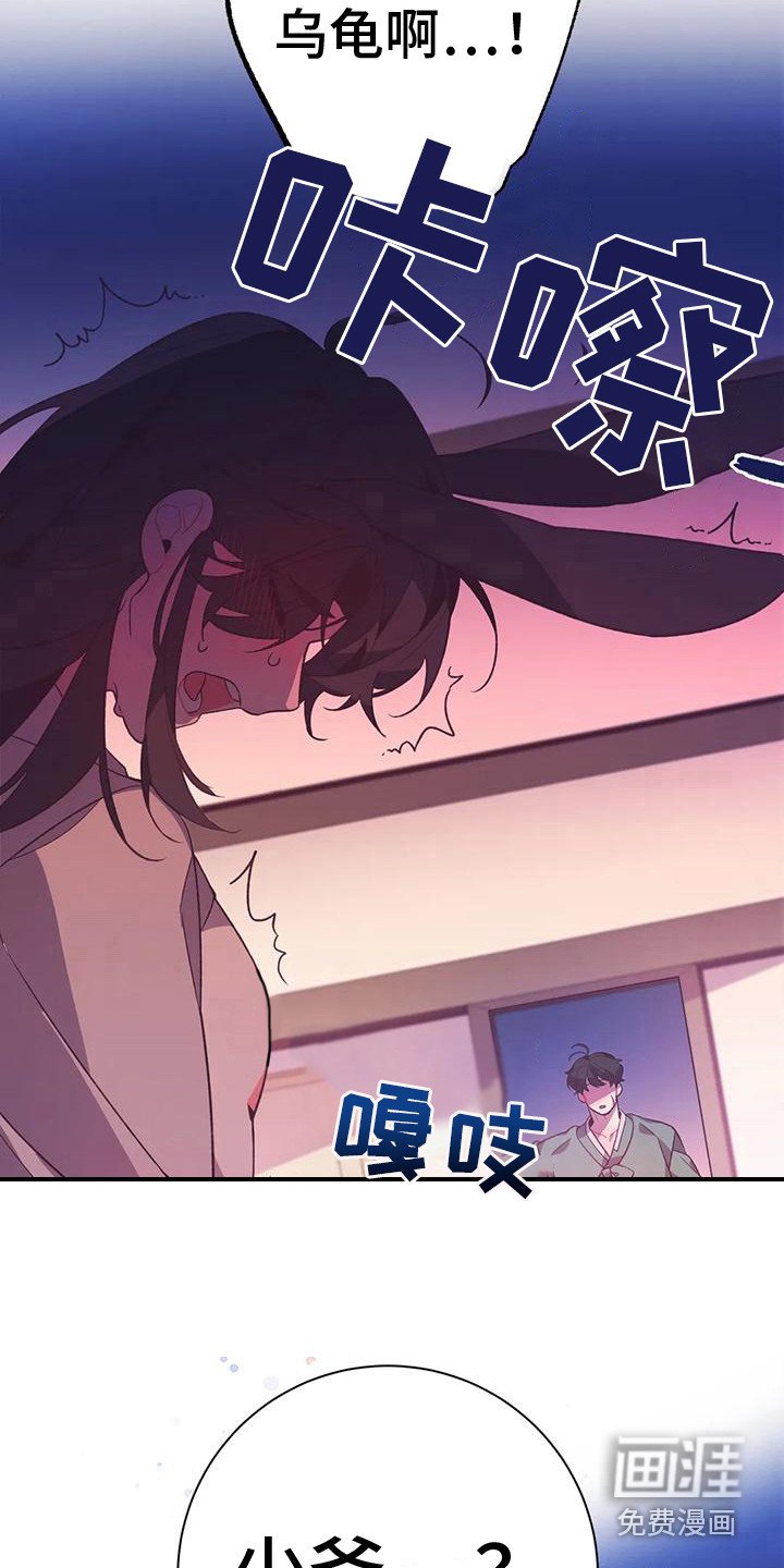 第12章：兔子的处境：等着瞧
