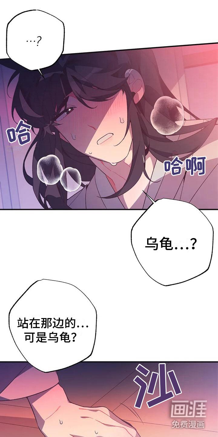 第12章：兔子的处境：等着瞧