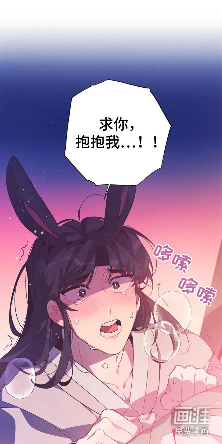 第12章：兔子的处境：等着瞧