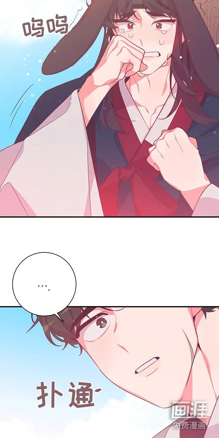 第14章：兔子的处境：真实想法
