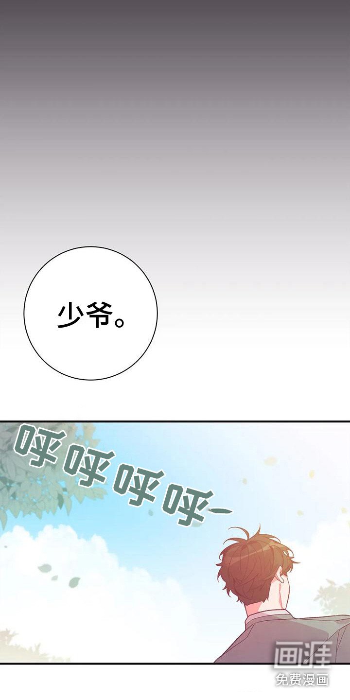 第14章：兔子的处境：真实想法