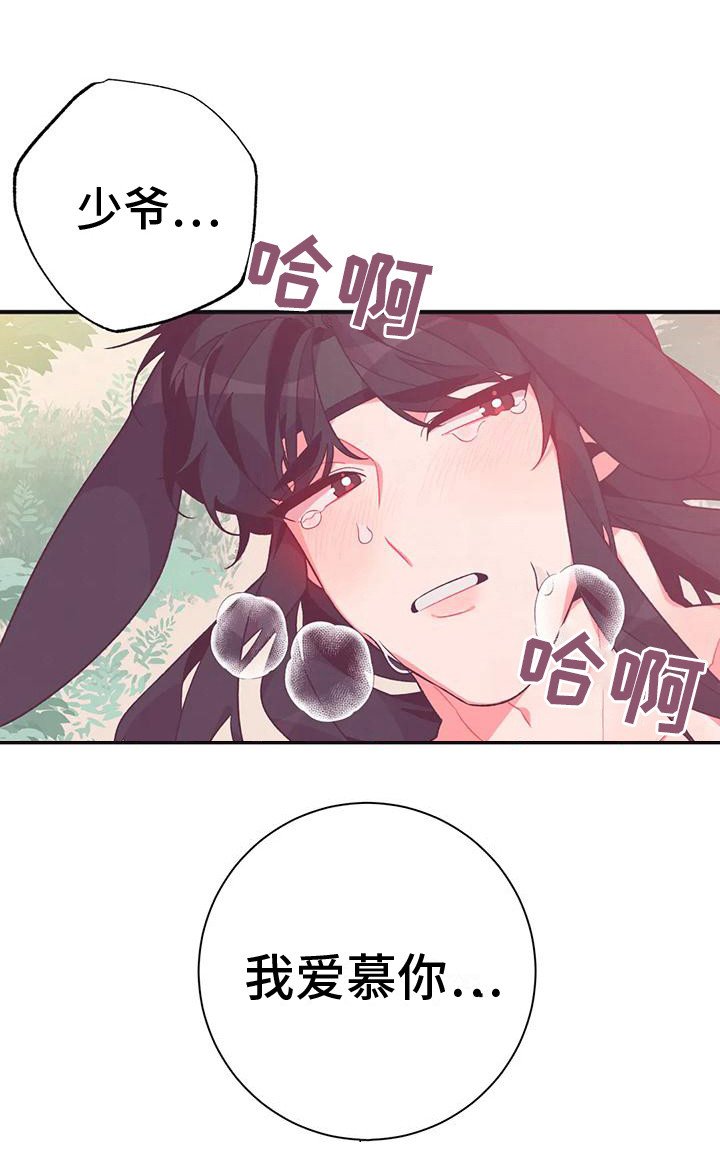 第15章：兔子的处境：爱慕（完）