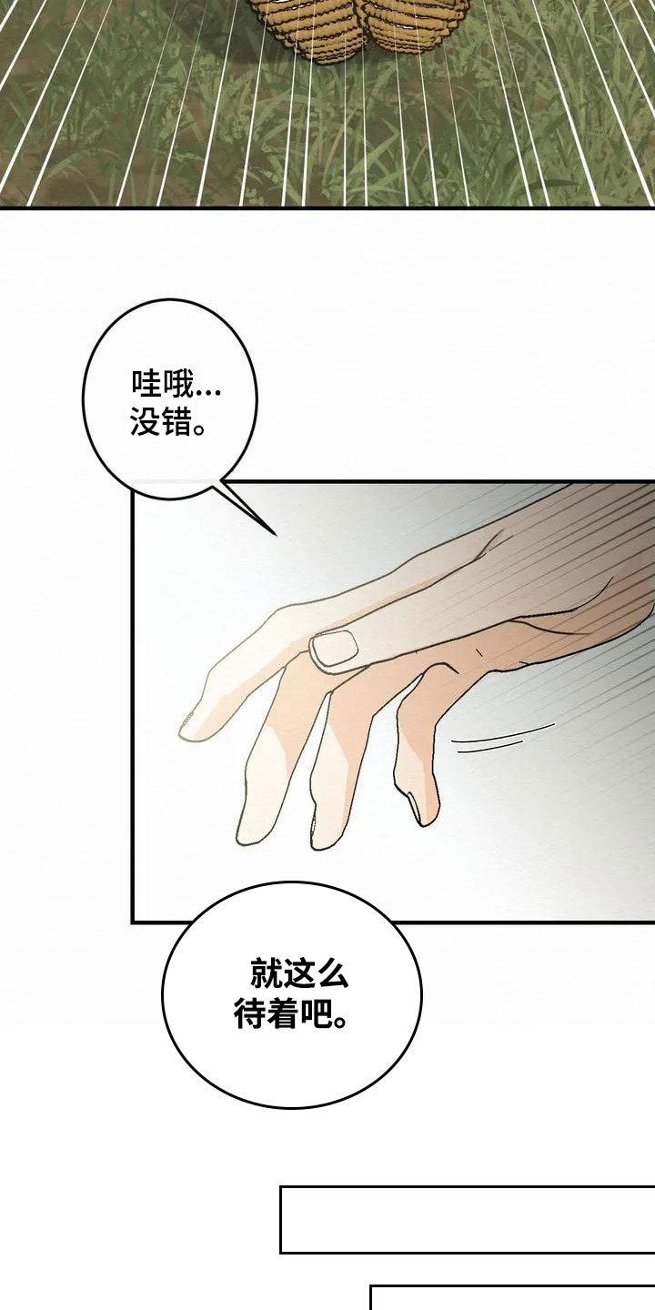 第2章：金棒棒银棒棒：约定