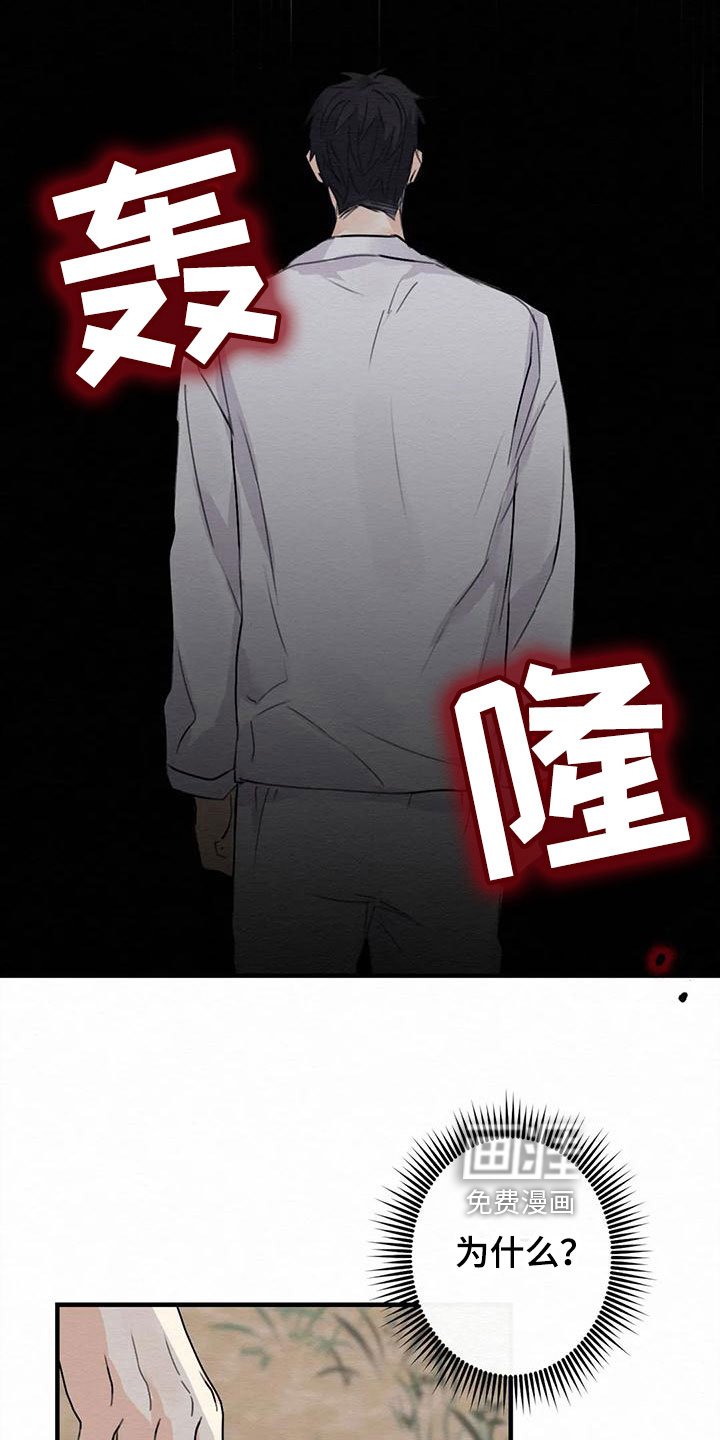 第5章：金棒棒银棒棒：哭泣