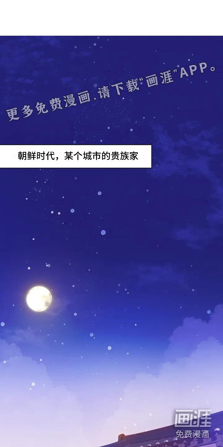 第8章：兔子的处境：兔子贵族