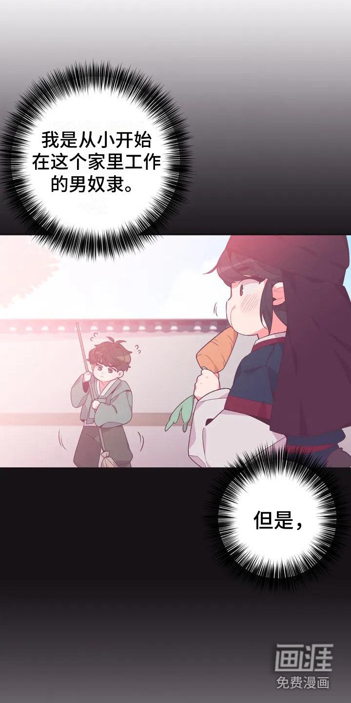 第8章：兔子的处境：兔子贵族