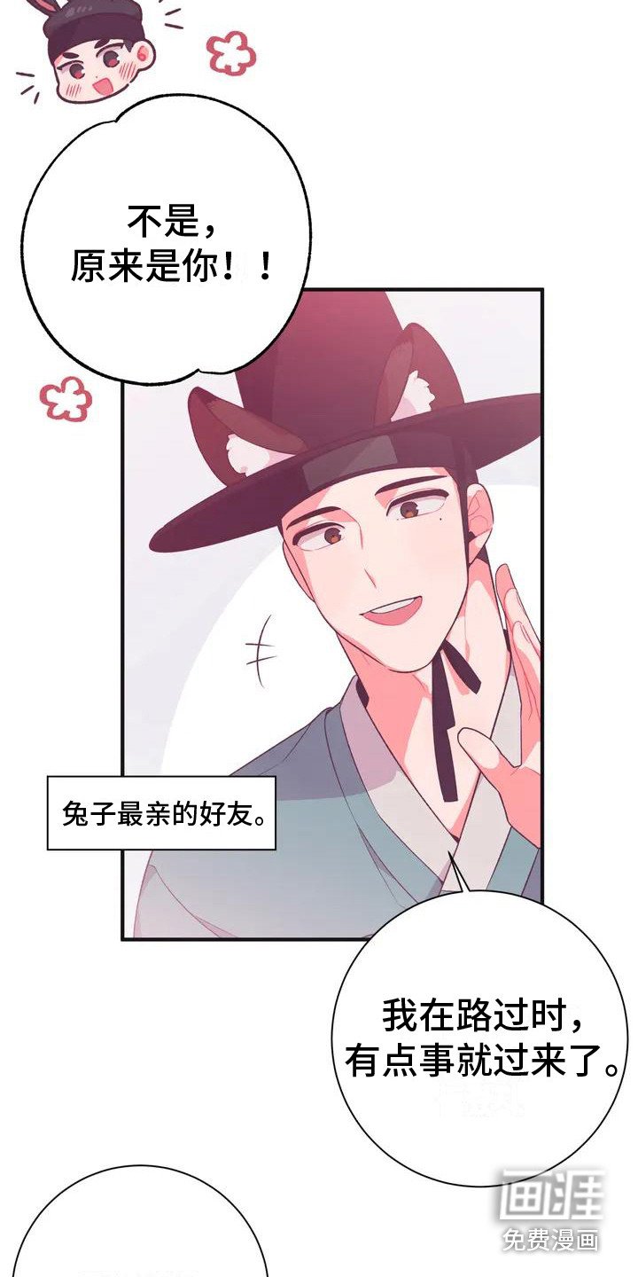第8章：兔子的处境：兔子贵族