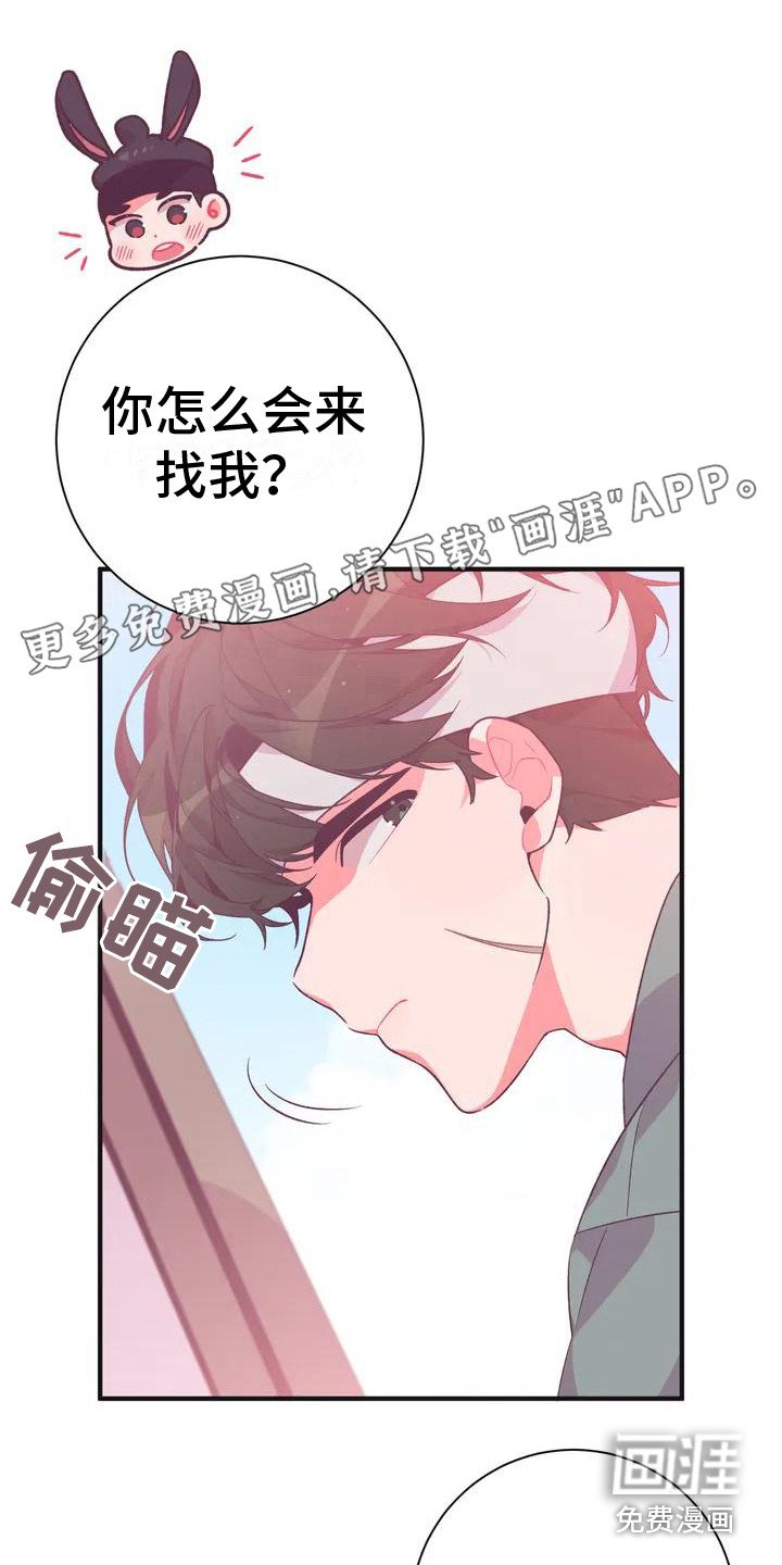 第9章： 兔子的处境：传闻