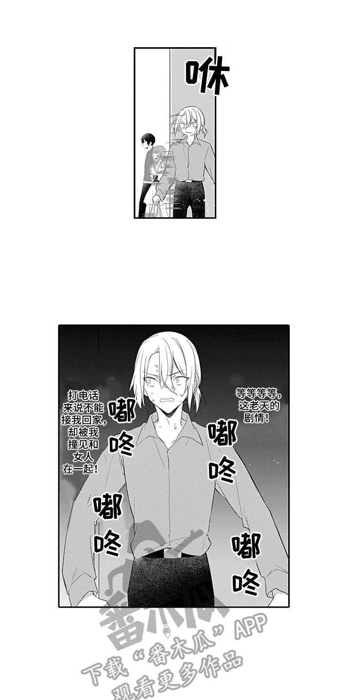 第13章：无需遵守
