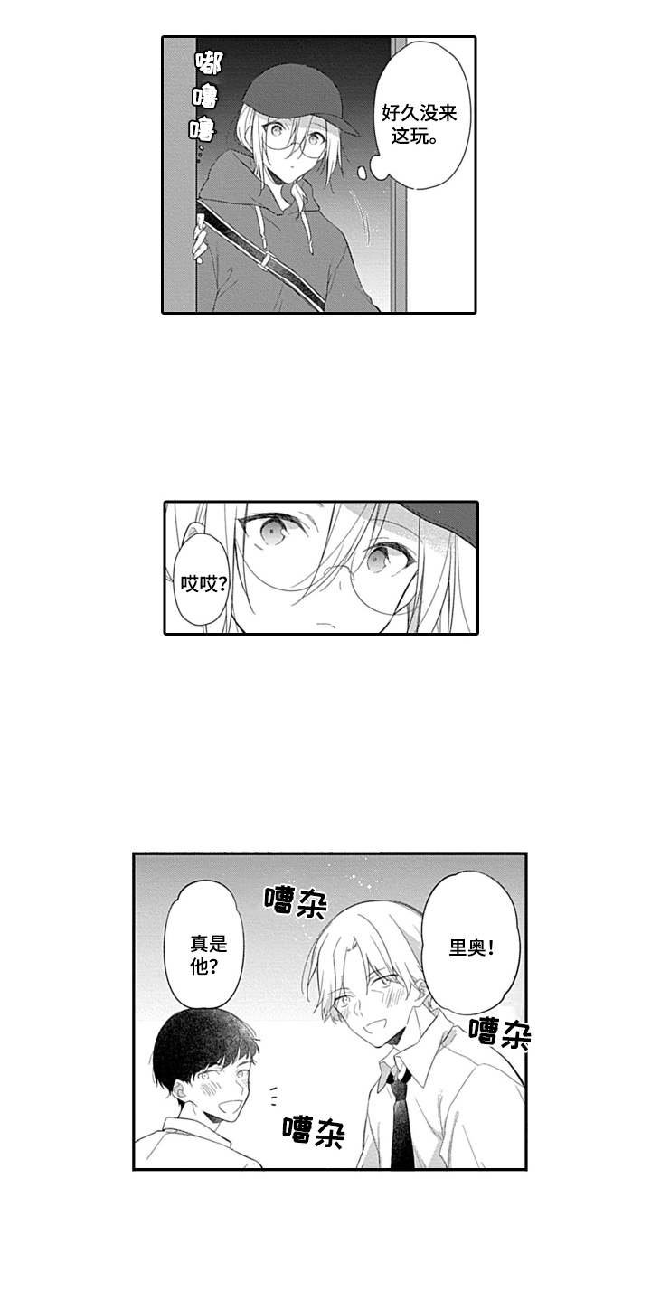 第13章：无需遵守