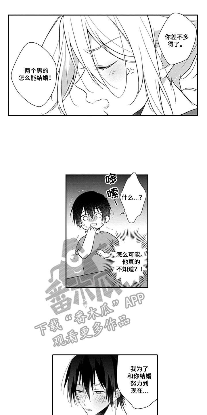 第18章：申请书