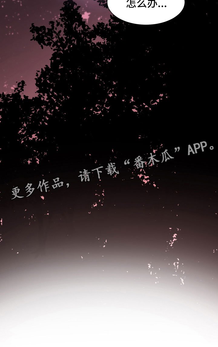 第14章：远行