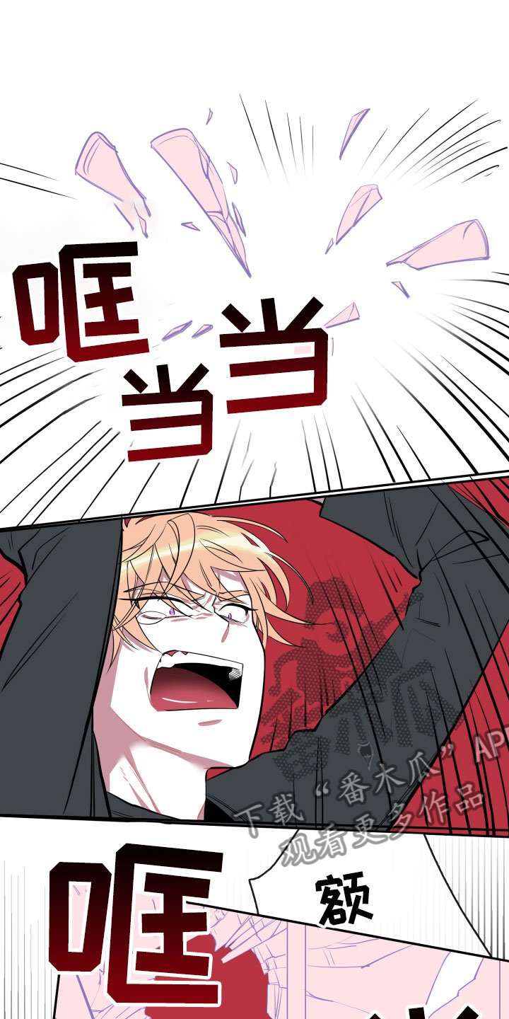 第17章：真实