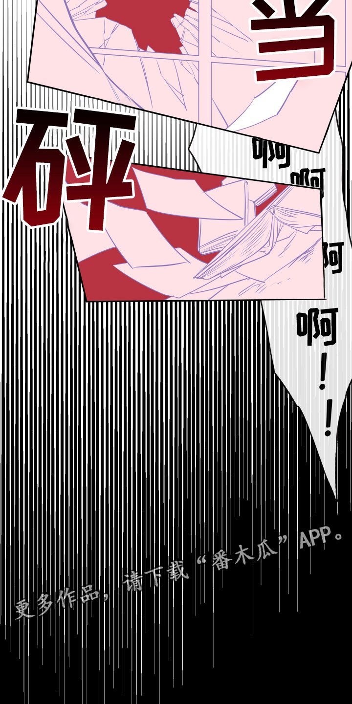 第17章：真实