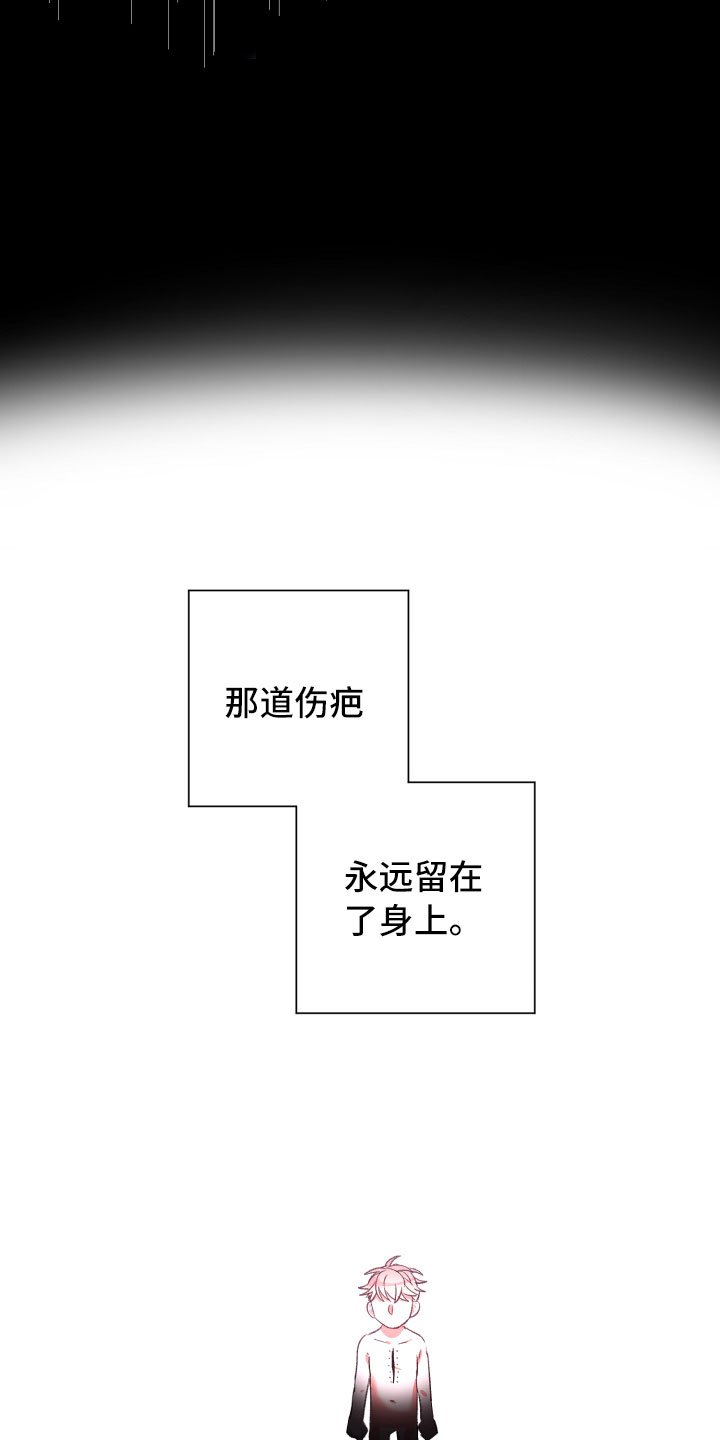 第17章：真实