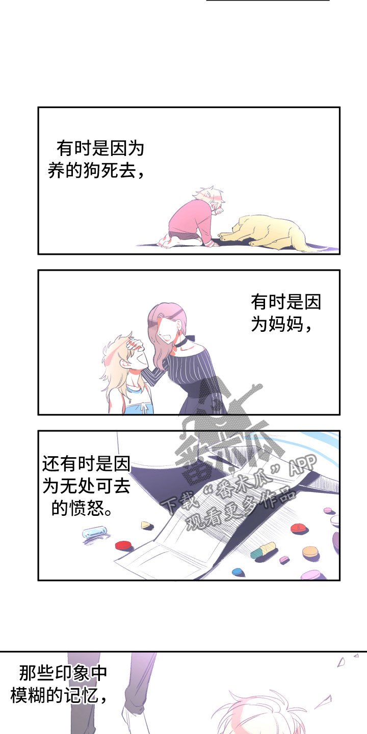 第17章：真实