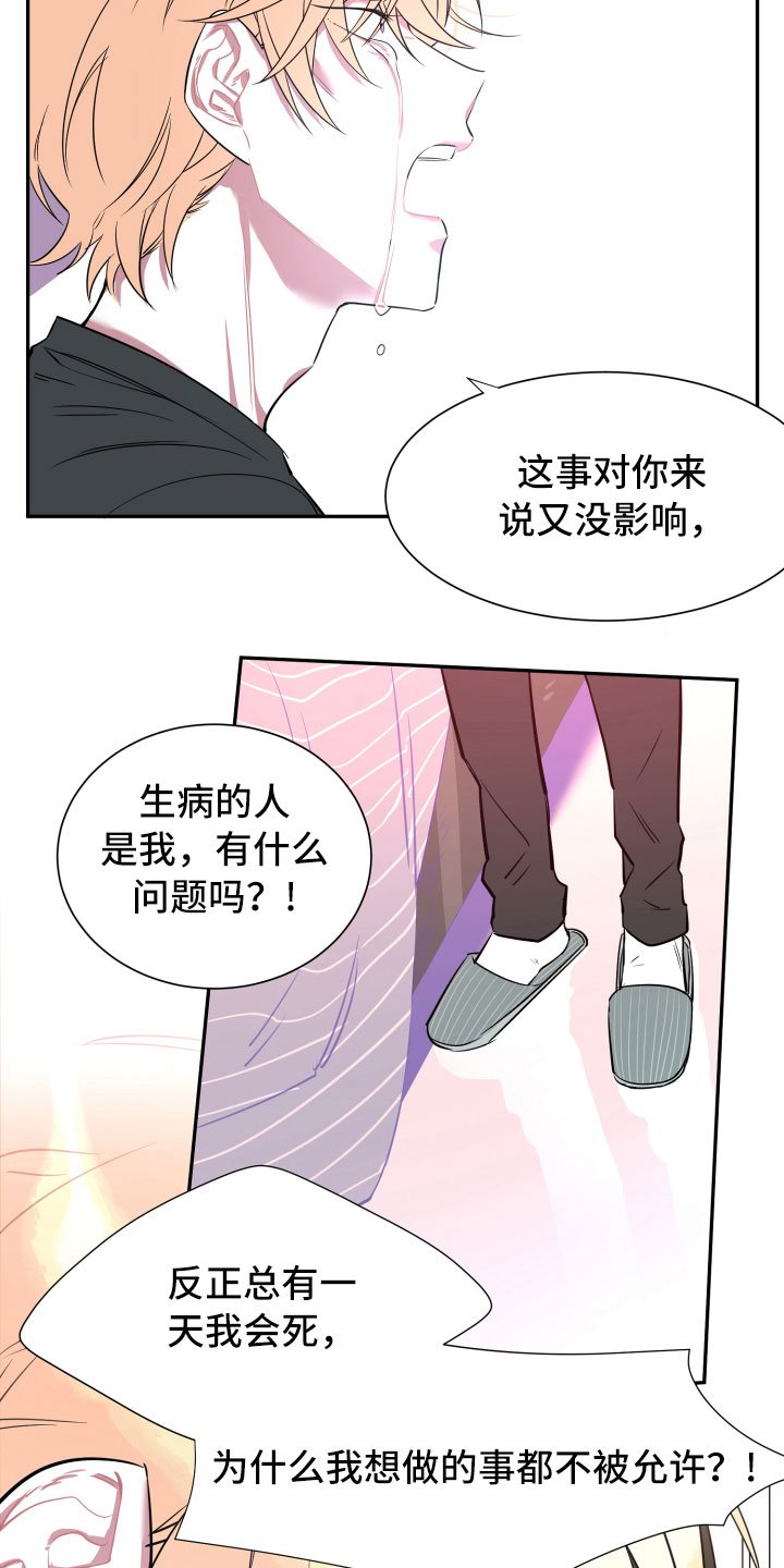 第17章：真实