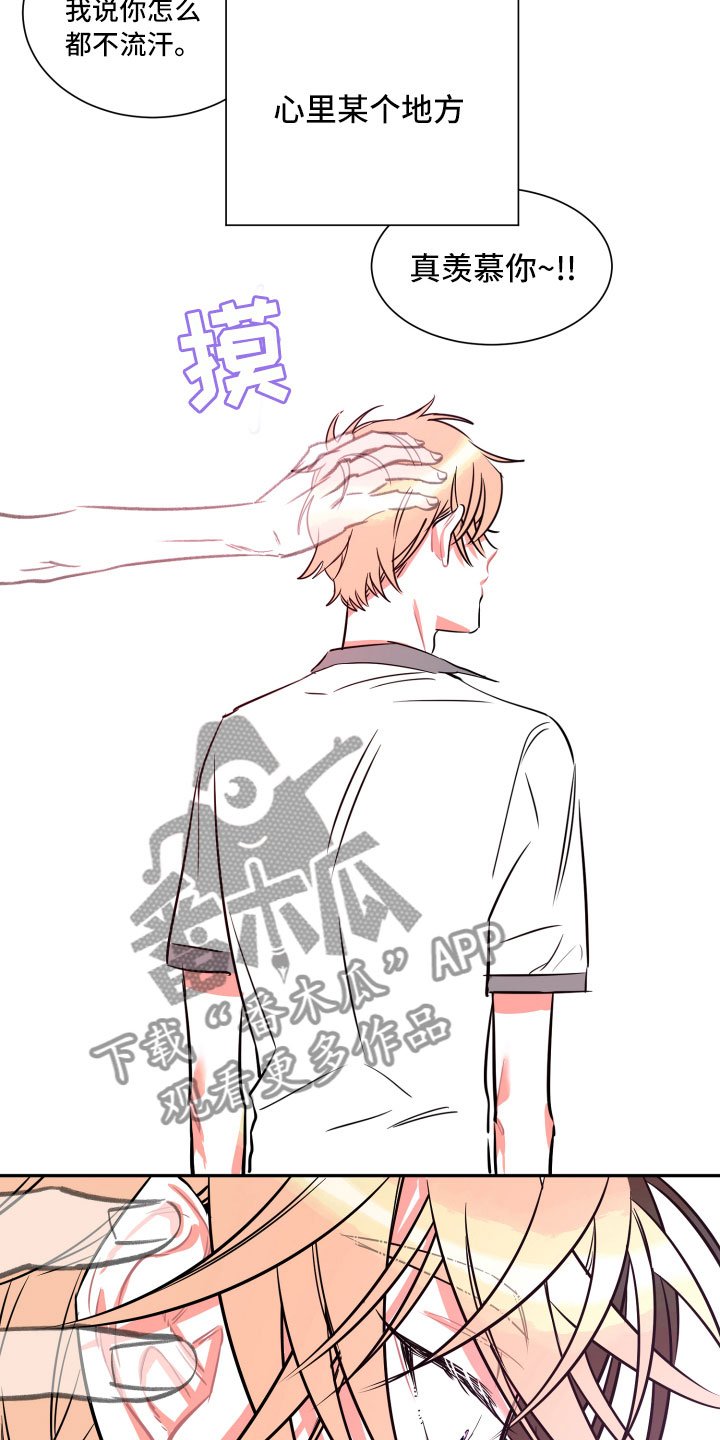 第20章：未来