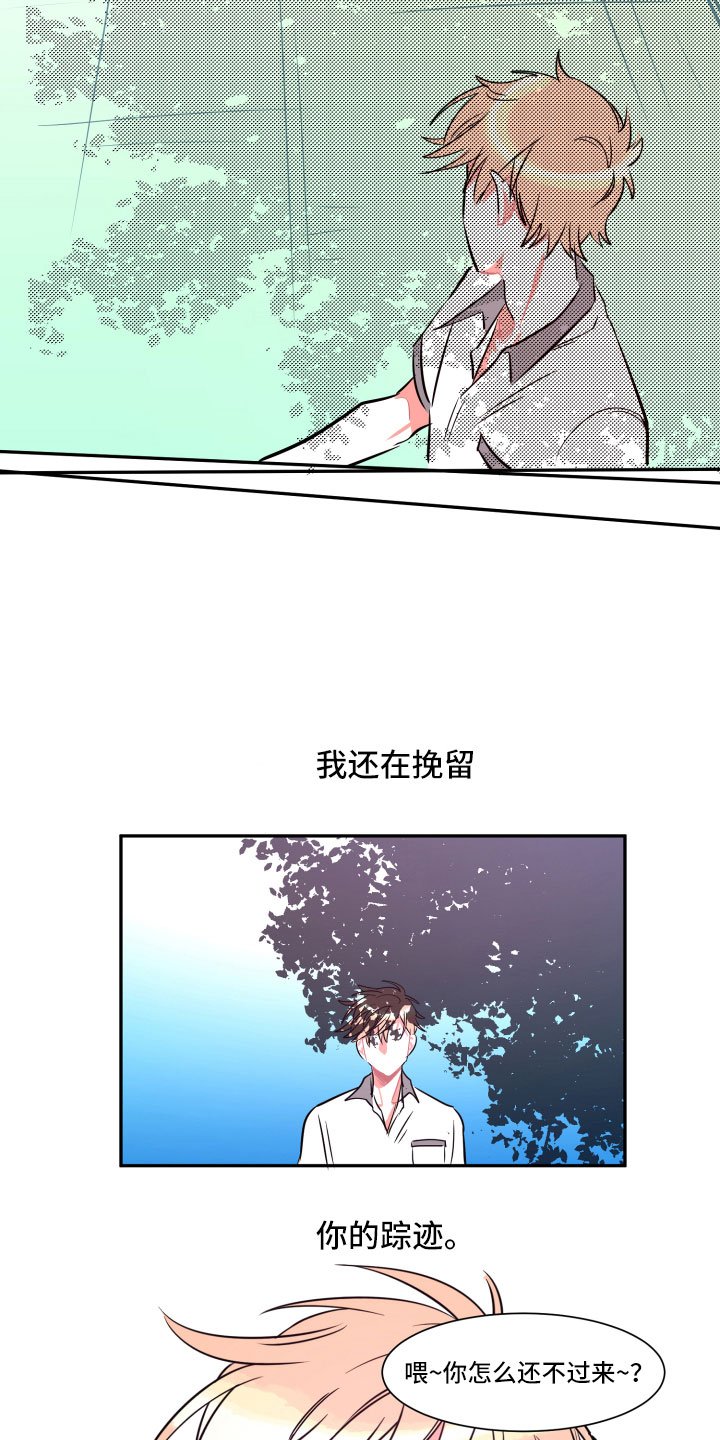 第20章：未来