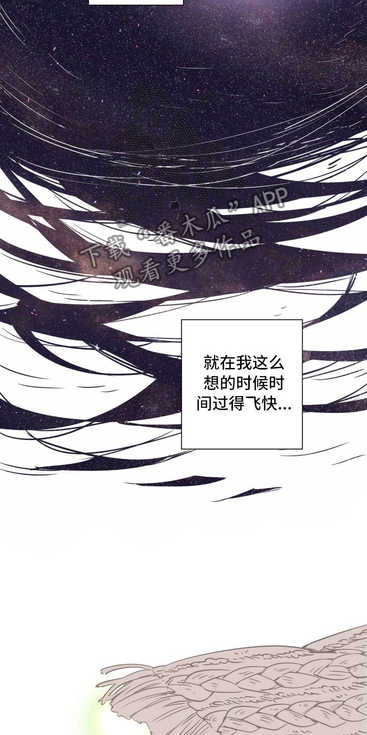 第22章：掩藏
