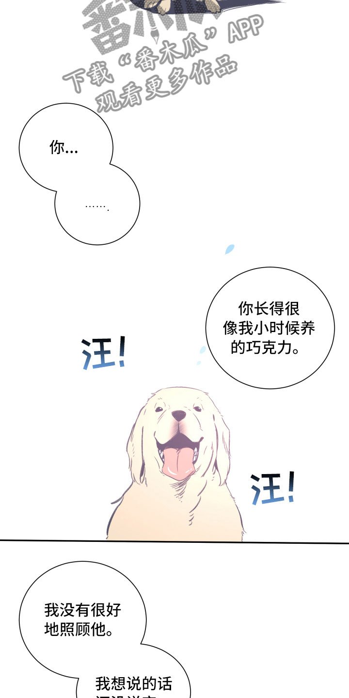 第25章：重逢
