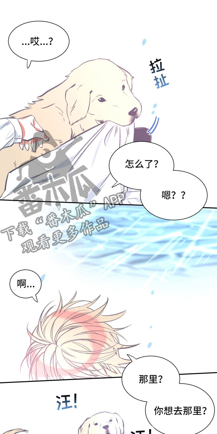 第26章：体检