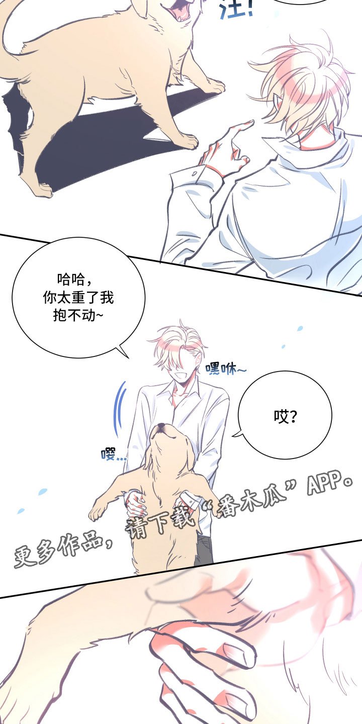 第26章：体检