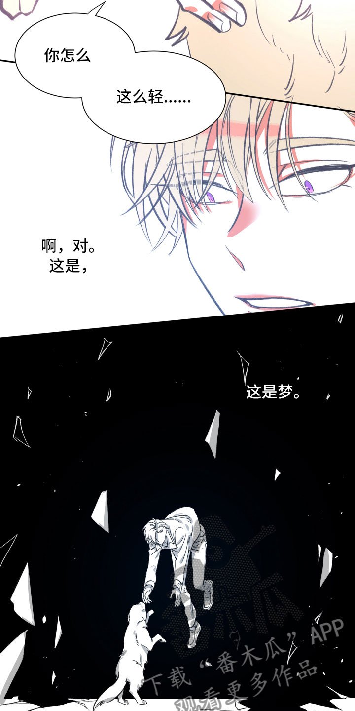 第26章：体检
