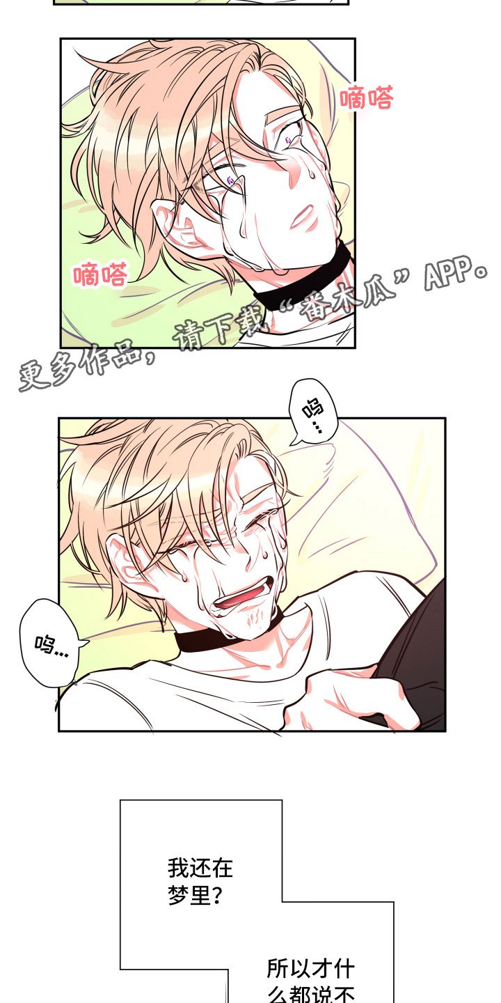 第26章：体检