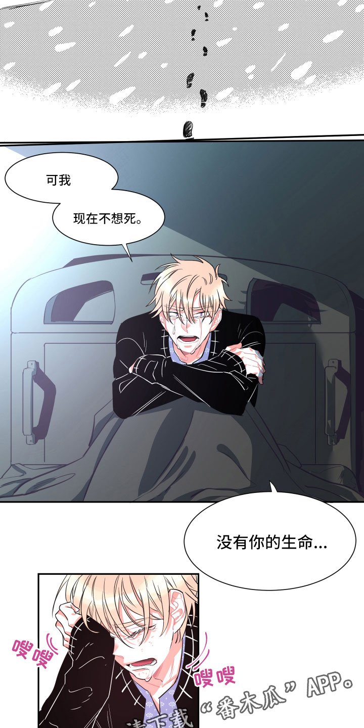 第33章：真心