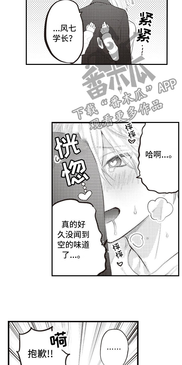 第24章：结为伴侣
