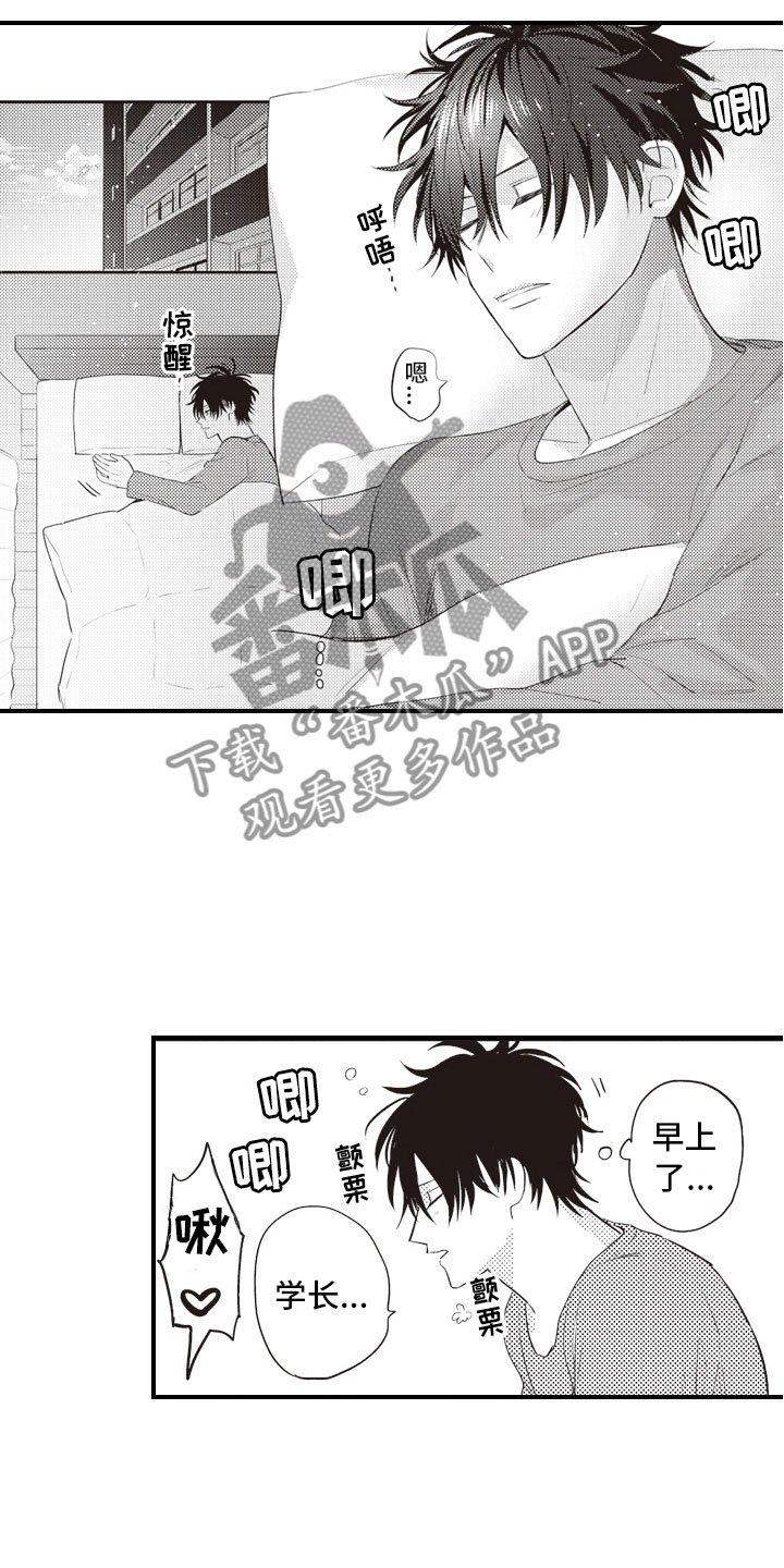 第28章：爱到疯狂
