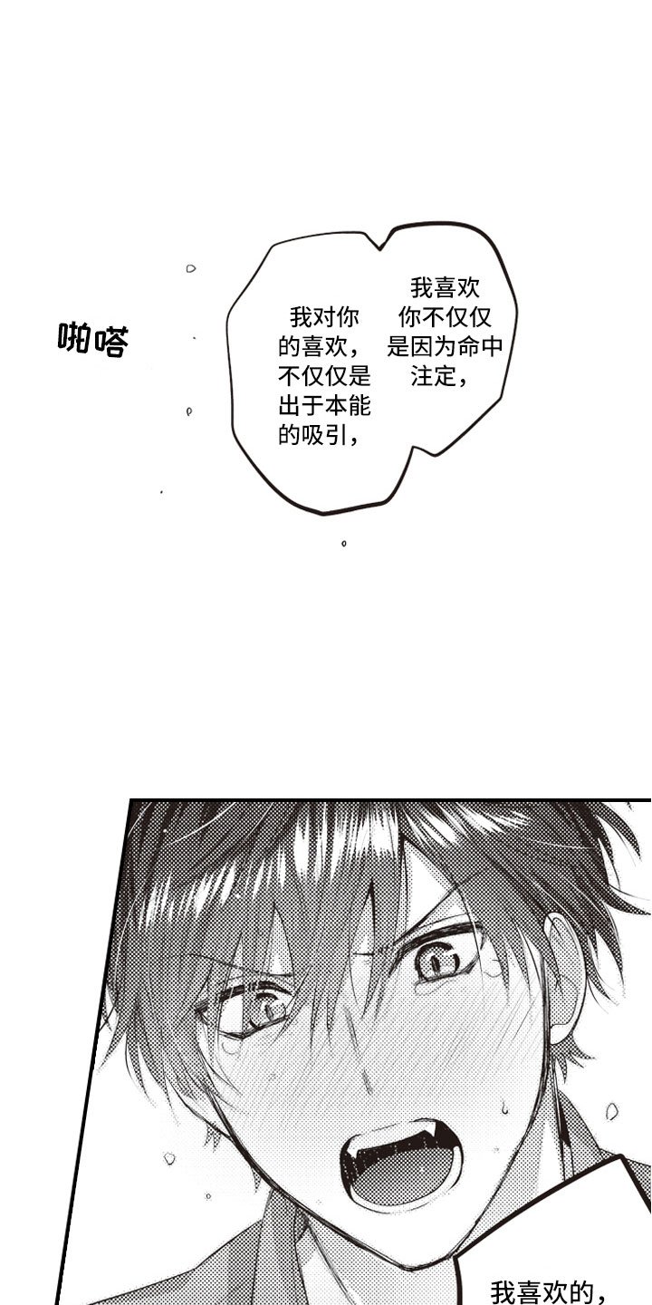 第4章：正因为这样