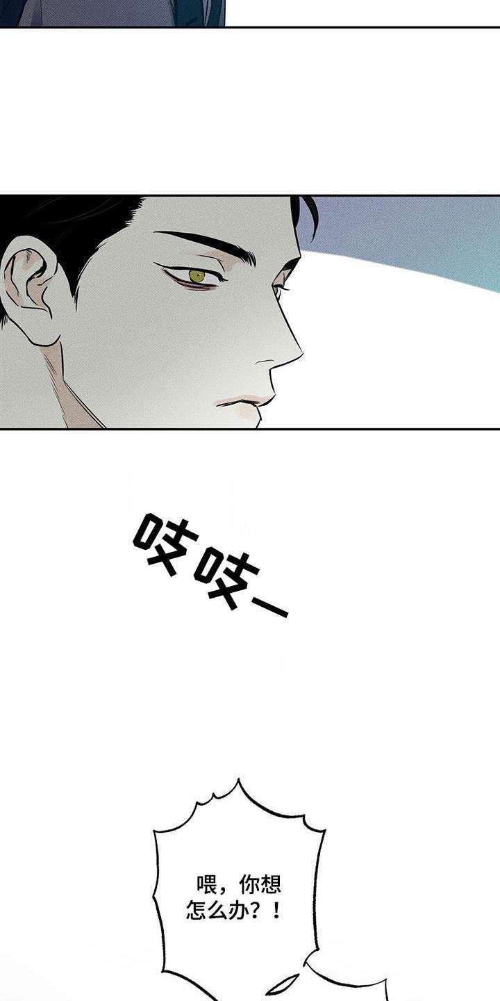 第12章：突遇车祸