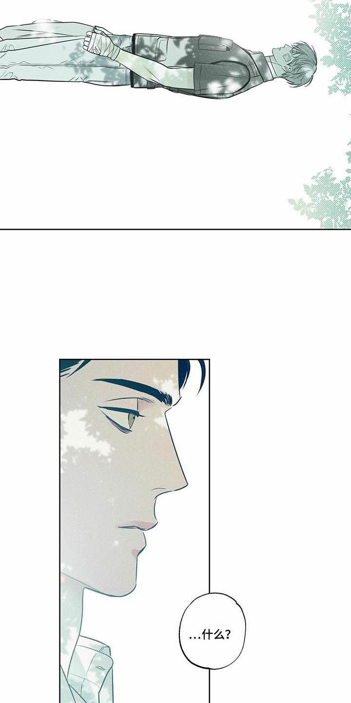 第15章：我来帮你
