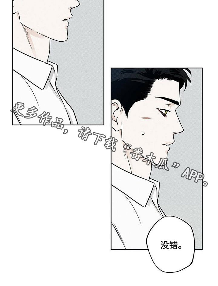 第26章：慢慢变熟