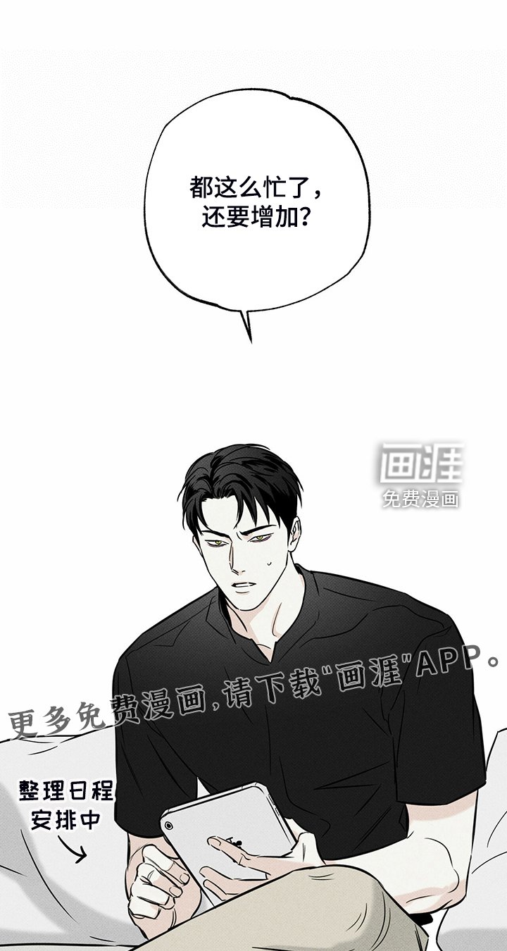 第42章：各种理由