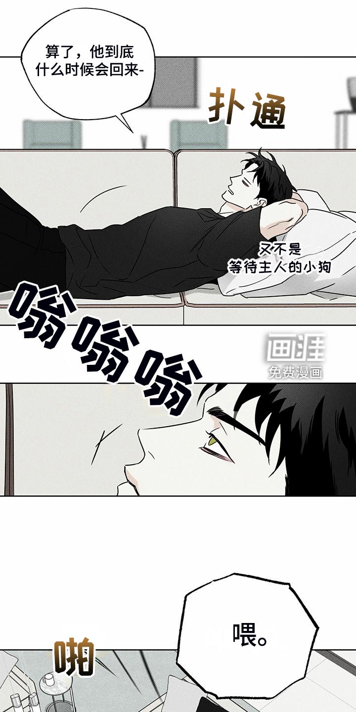 第44章：明显的答案