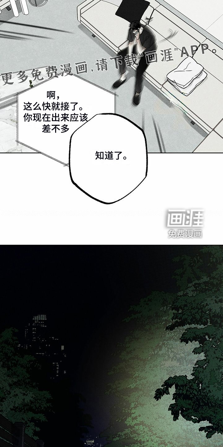 第44章：明显的答案