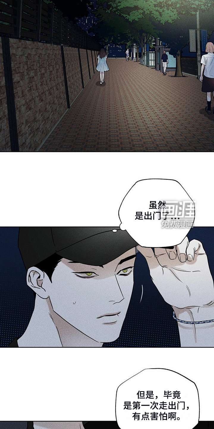 第44章：明显的答案