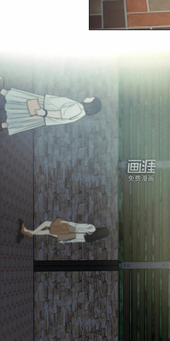 第44章：明显的答案
