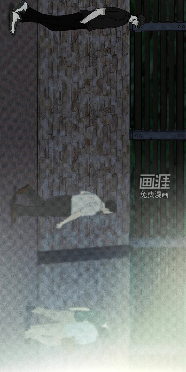 第44章：明显的答案