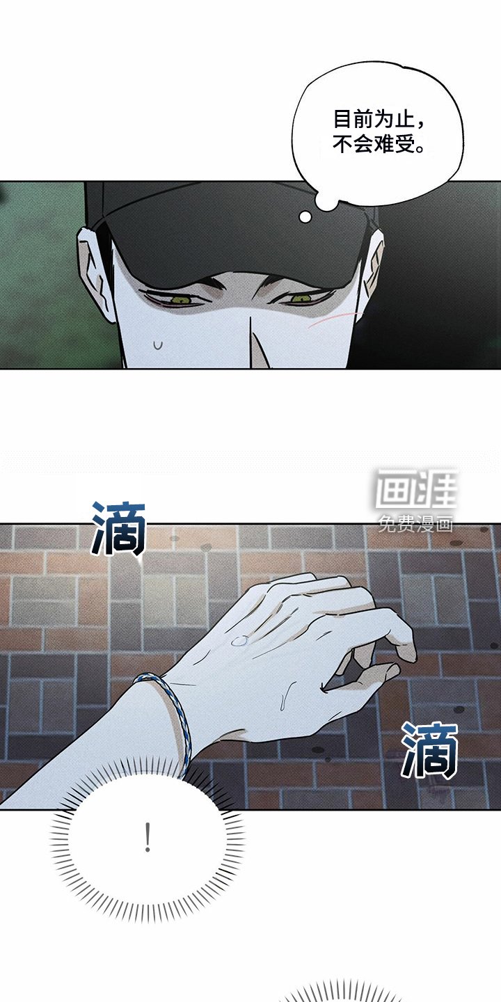 第44章：明显的答案
