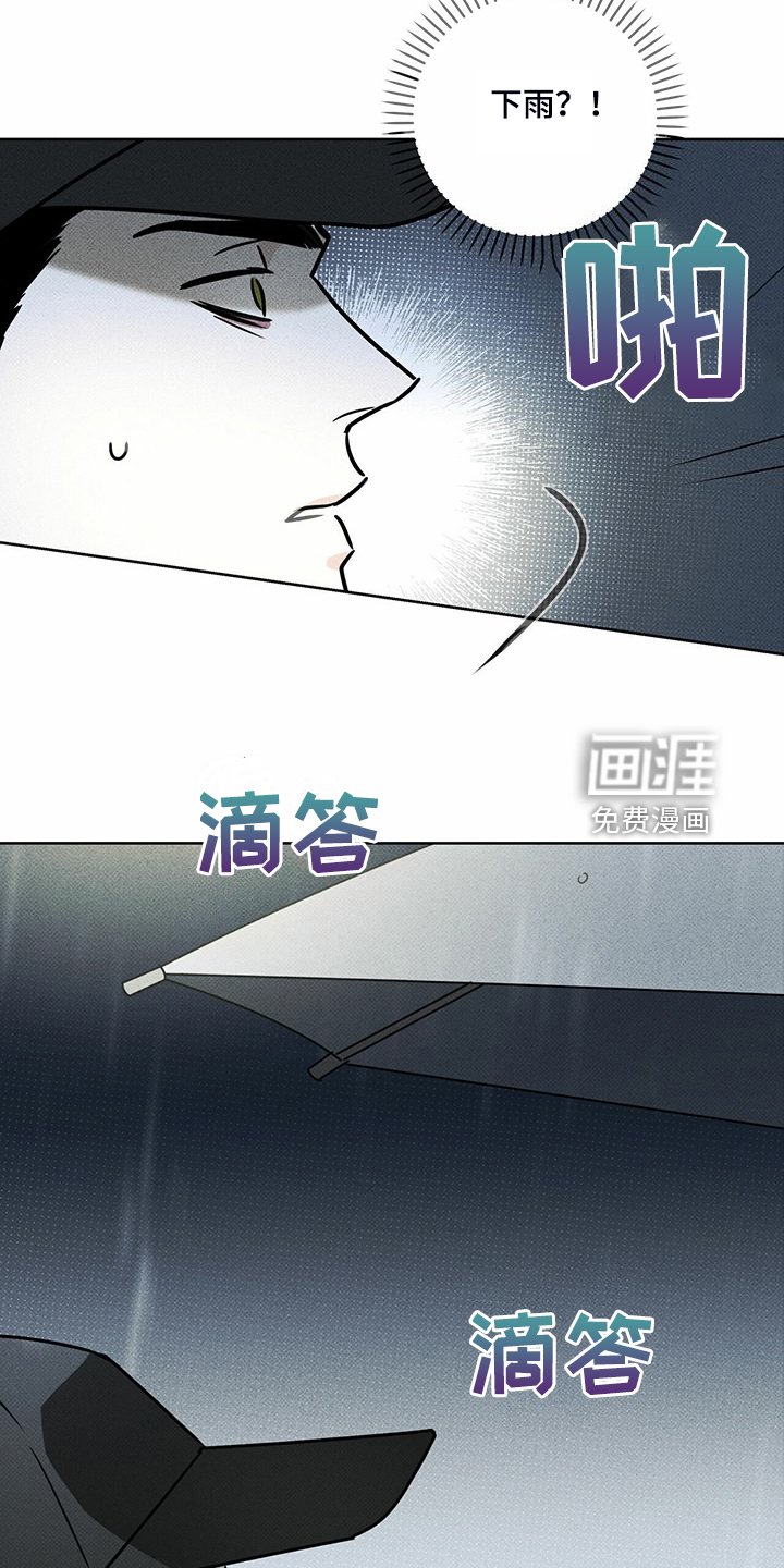 第44章：明显的答案