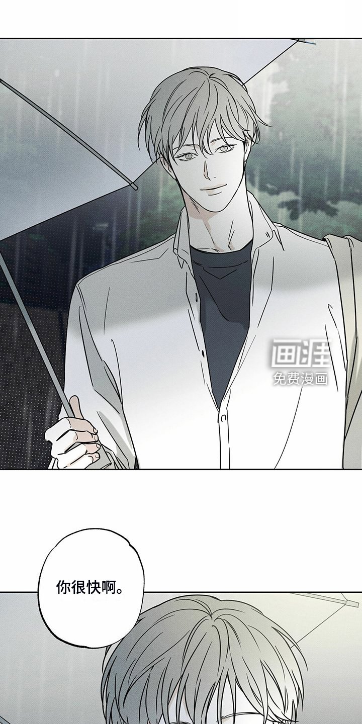 第44章：明显的答案