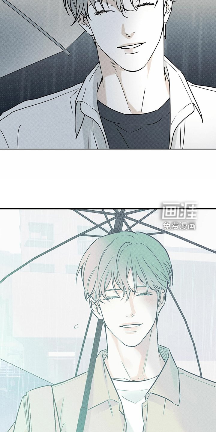 第44章：明显的答案