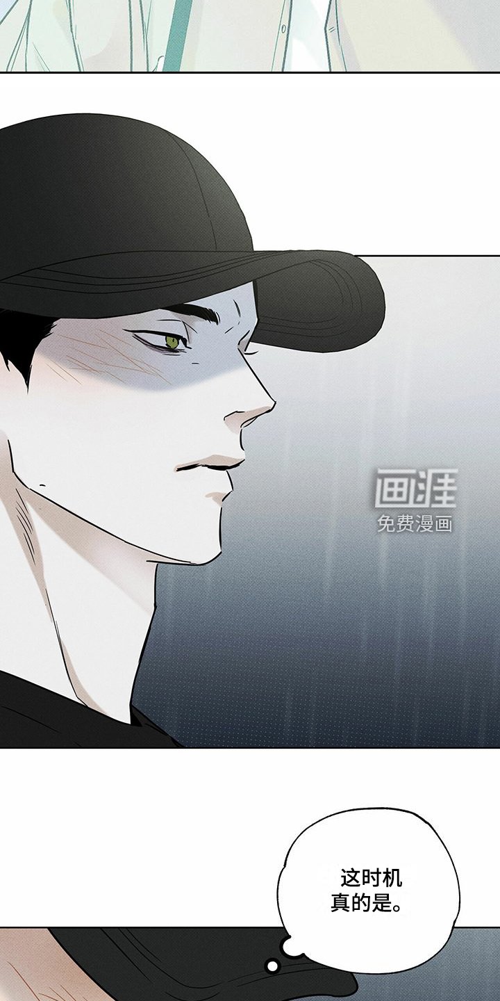 第44章：明显的答案