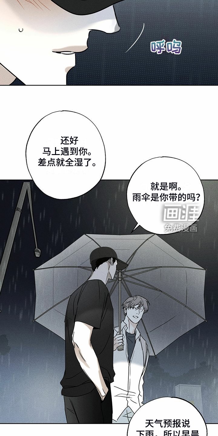 第44章：明显的答案