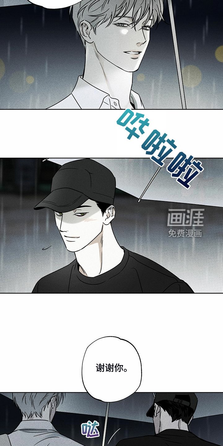 第44章：明显的答案